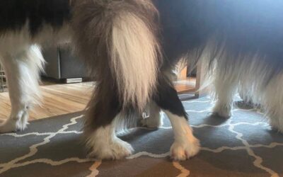 Wyprawa nad Polski morze.