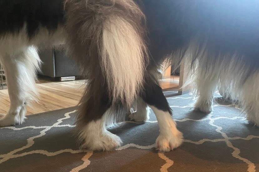 Wyprawa nad Polski morze.