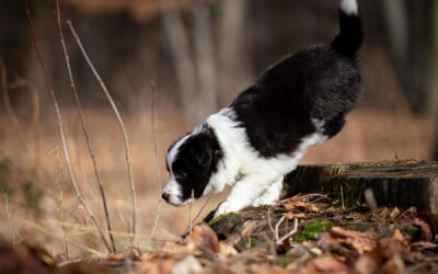 Szybko, nowa sesja zdjęciowa!!