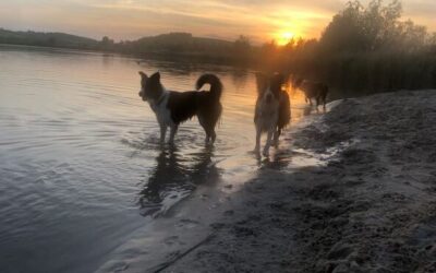 Jeziorko w naszej okolicy